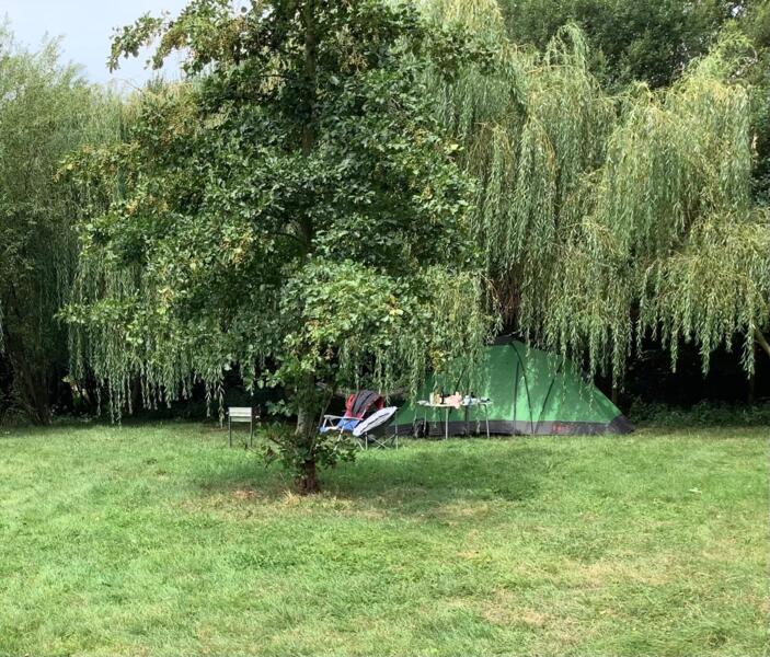 Farm camping with horses and water gardens, Normandy