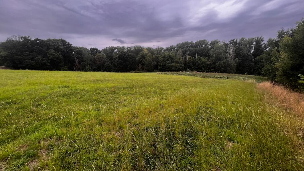 Campspace in Klessig, Saksen afbeelding 1