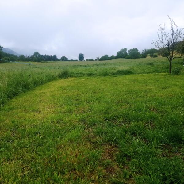 Wiesenstellplatz mit Aussicht auf der Plose, South Tyrol.