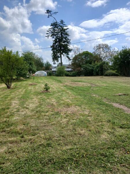 Campspace in Moustoir ac, Bretagne afbeelding