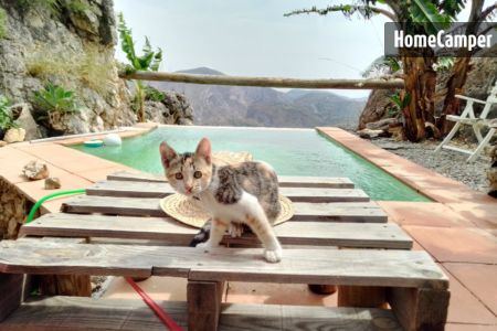 Kampeerplek in Granada, Andalusië afbeelding 1