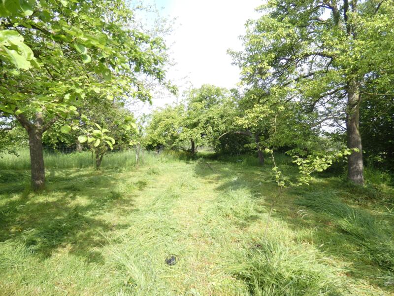 Pittoresk kamperen in de boomgaard