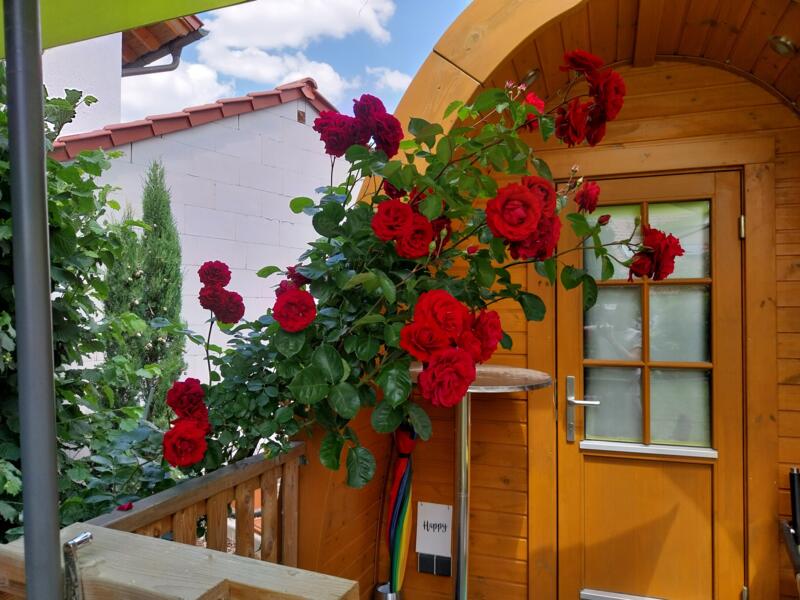 Hambach-kasteel in Neustadt an der Weinstrasse, Rijnland-Palts afbeelding 1