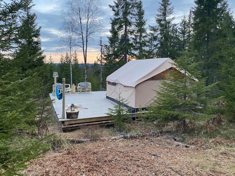Gezellige glampingtent midden in het bos met uitzicht op de bergen afbeelding
