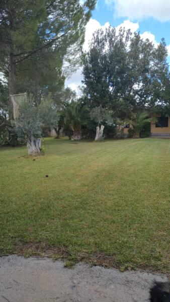 Kampeerplaats in Mogoro, Oristano afbeelding