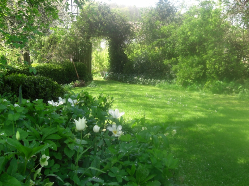 Natuurcamping bij de Attersee