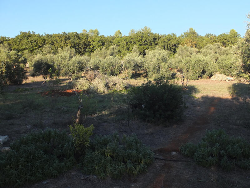Campspace in Ostuni, Brindisi