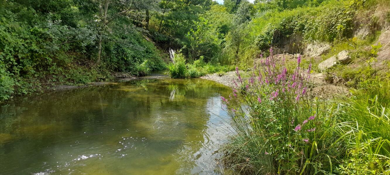 Kampeerplaats in Castelletto d'Orba, Alessandria