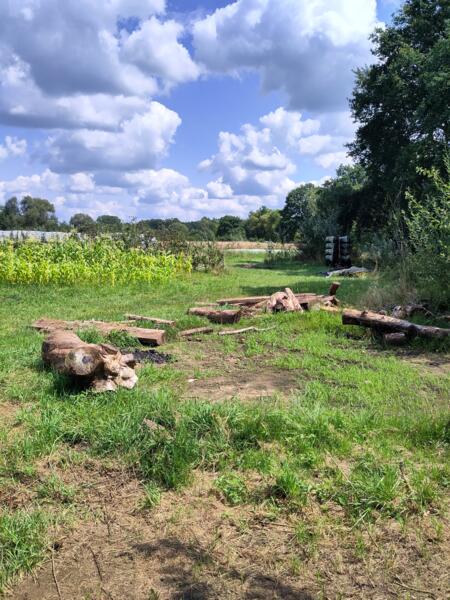 Rustig gelegen biodynamische boerderij in de zuider kempen heist op den berg