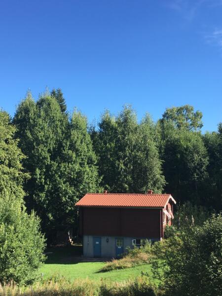 Camping in de Zweedse natuur afbeelding