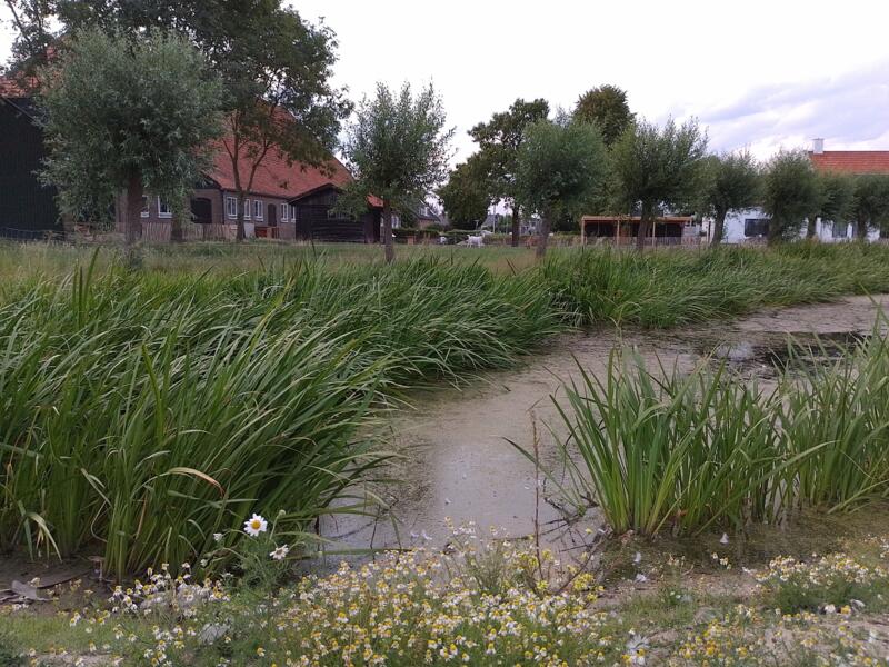 Camping Boerderij de Schans afbeelding