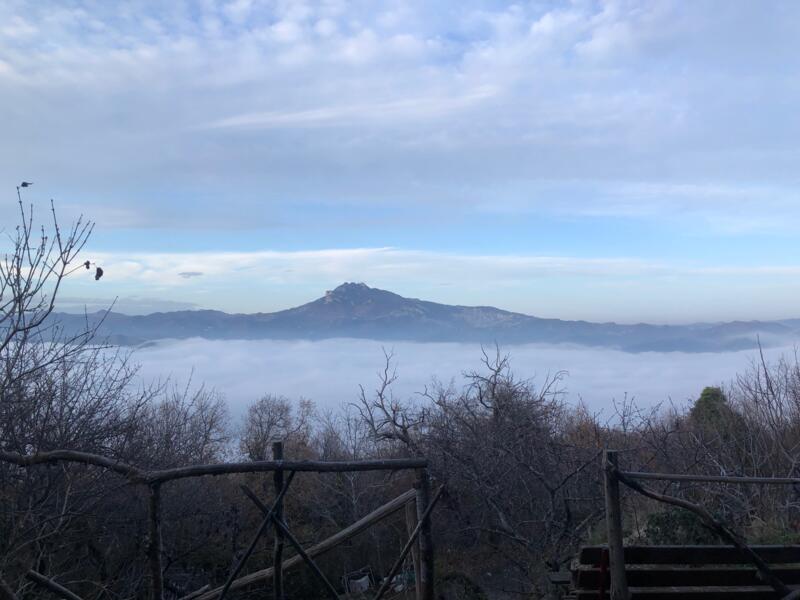 Kampeerplaats in Ascoli Piceno, Ascoli Piceno
