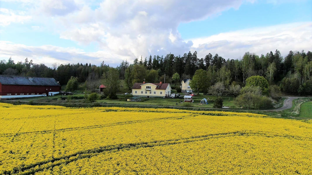 Reik de natuur uit - uniek landschap op het platteland in Zweden afbeelding