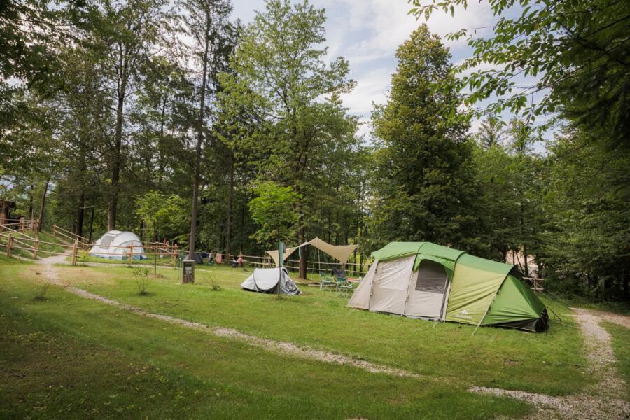 Forest camping Mozirje
