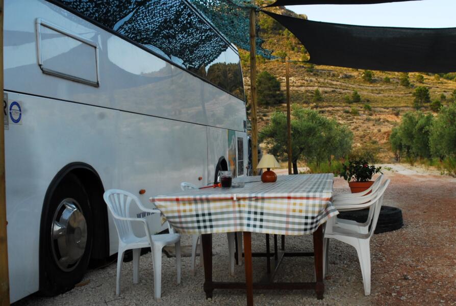 Chillen tussen de olijven