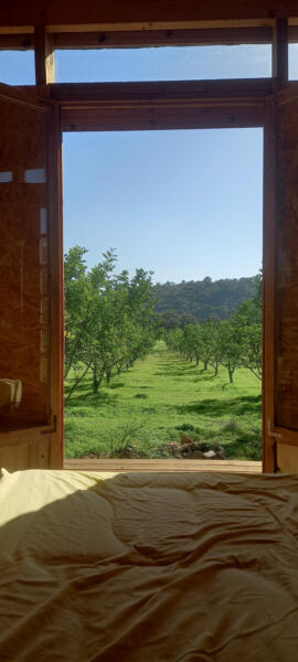 Kampeerplaats in Santa Catarina da Fonte do Bispo, Faro