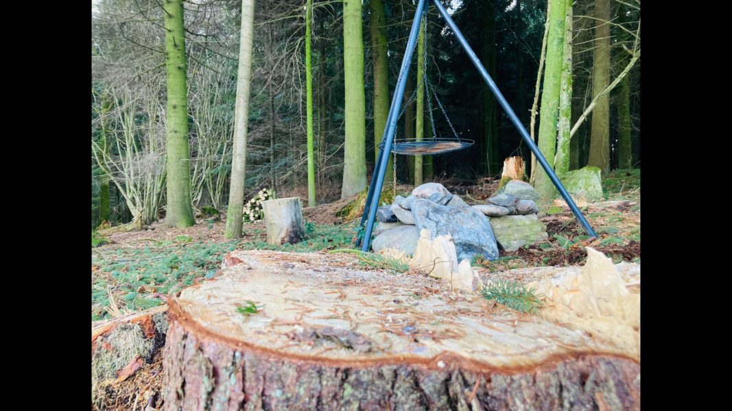 Boerencamping met uitzicht op de Pilatus 🏔