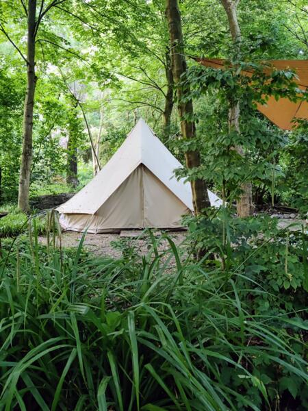 Cleygaerd Natuurcamping een groene oase afbeelding 1