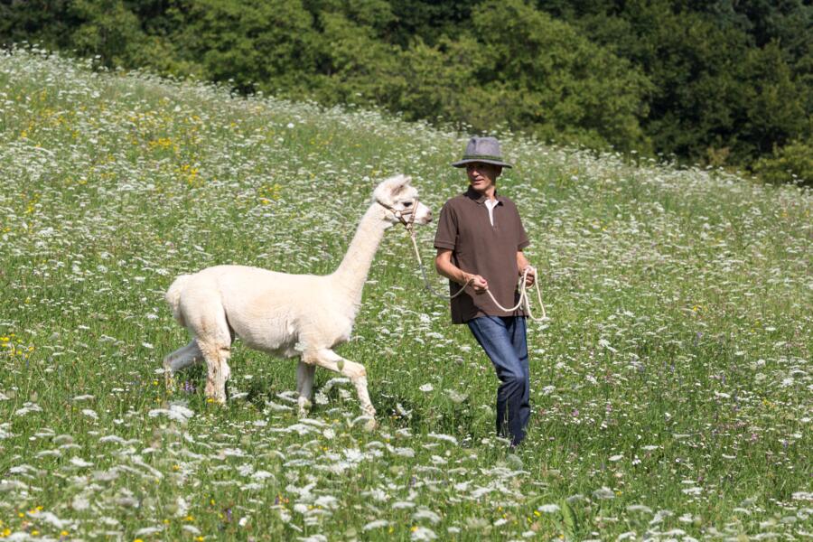 Campspace in Kirchbach Zerlach, Stiermarken afbeelding