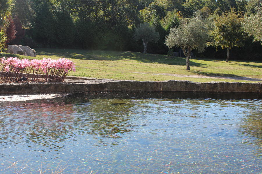 Een natuurparadijs nabij Porto