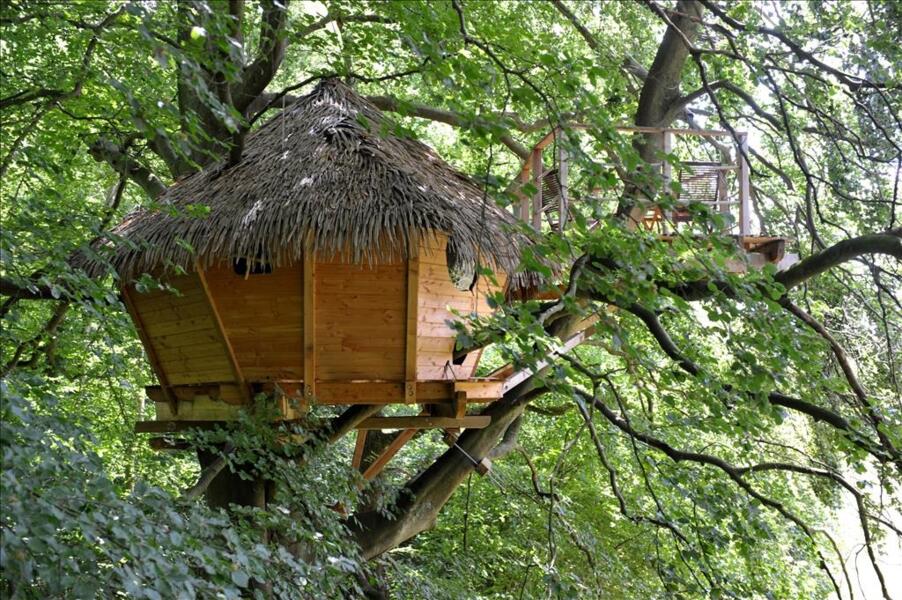 Hooggelegen hutten in Normandië - Ongebruikelijke accommodatie en ontsnapping uit de natuur afbeelding 1