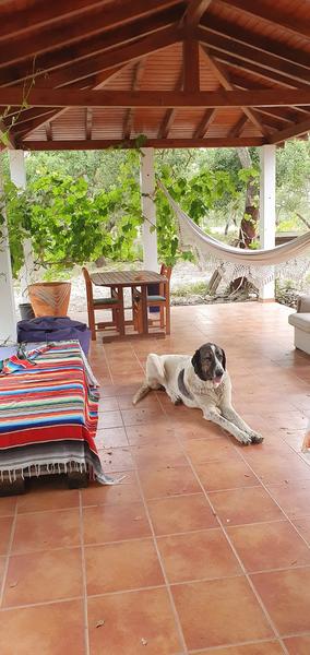 Kamperen op een boerderij op het platteland