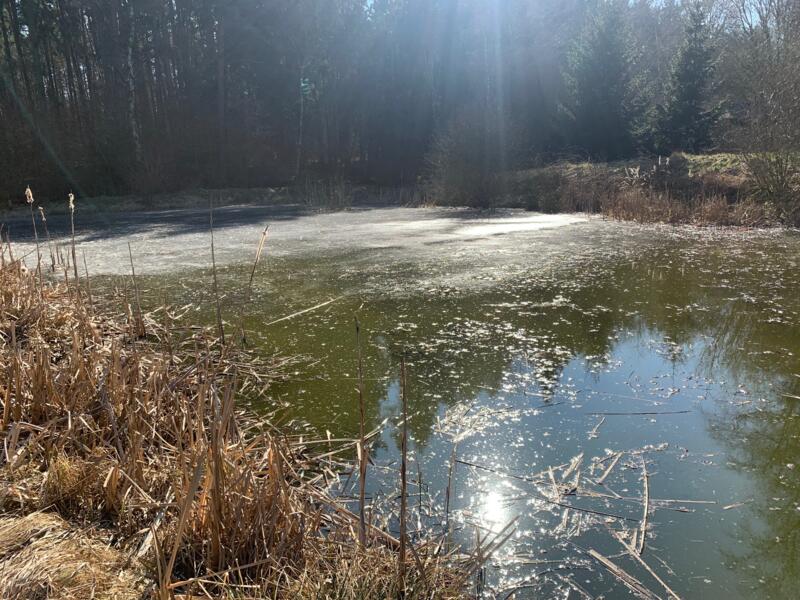 Naturcamping zwischen Bad Salzungen und Eisenach