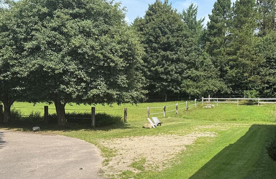 Rustboerderij op het platteland met veel dieren nabij Denemarken afbeelding 1