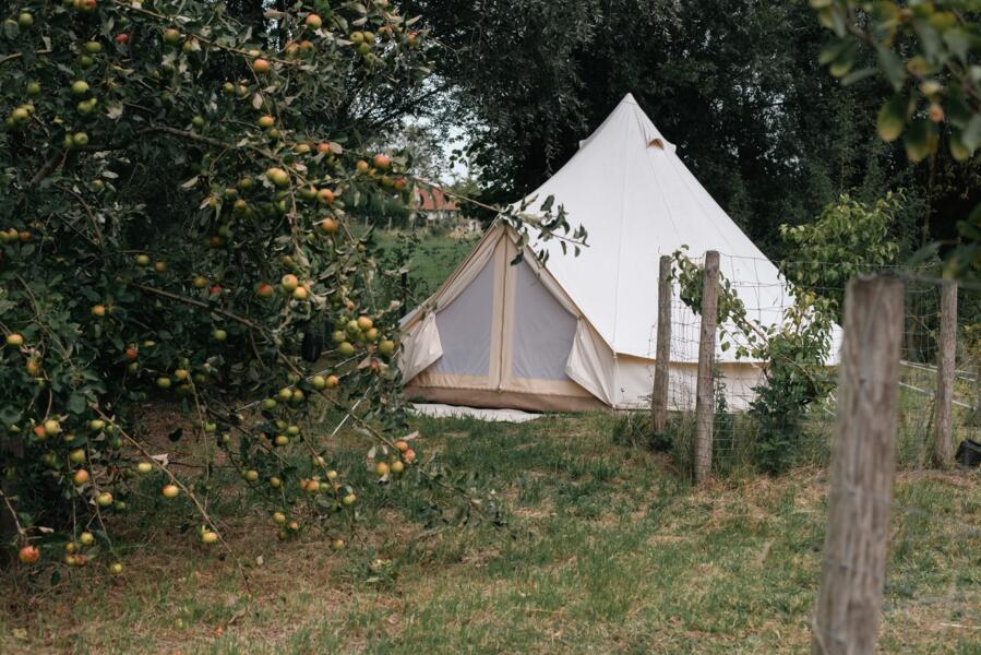 Paradijsje in de Vlaamse Ardennen afbeelding 1
