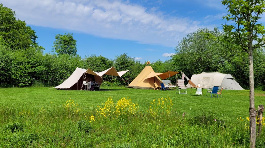 faltzelt 3x6 Faltzelt FleXtents PRO. Faltzelt 3x6m. Faltzelt Transparent. Jetzt kaufen