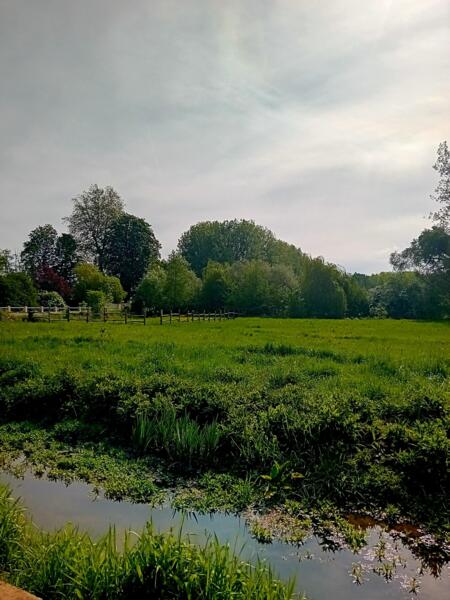 🌿 Een klein paradijsje aan het water 🌿