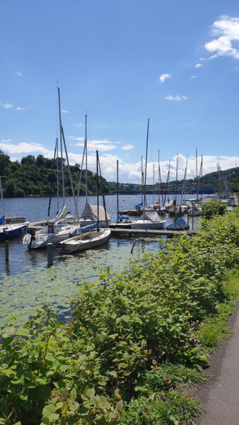 Kamperen bij de Baldeneysee in Essen