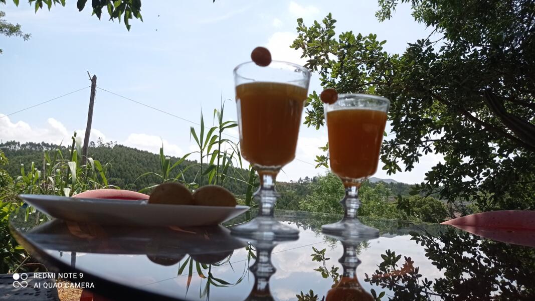 Mafrica - Campspace in Mafra, Lissabon