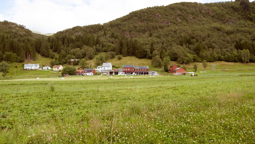 Boerderijcamping dichtbij Bergen