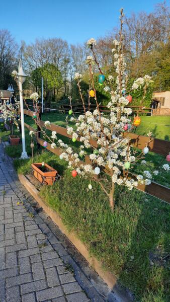 Kampeerplek in Rastede afbeelding 1