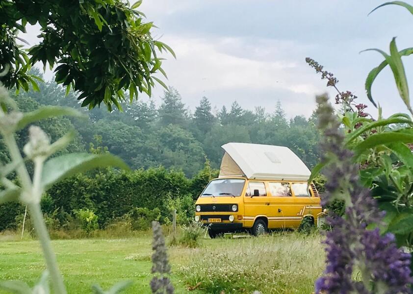 Plek voor jou en je busje op de Veluwe nabij Speulderbos ( Garderen )
