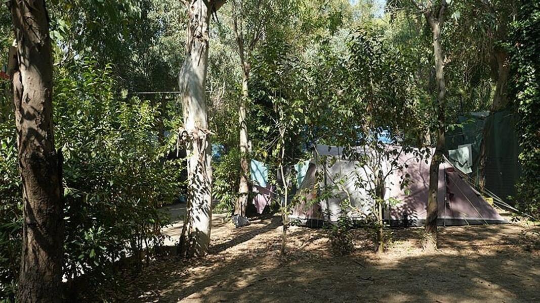 Kampeerplaats in PAESTUM, Salerno afbeelding