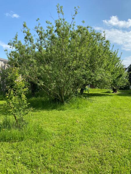 Campspace in Wallerstein, Beieren afbeelding 1