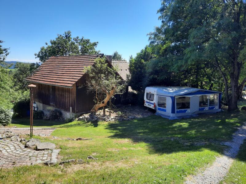 Bodenseehalbinsel Hri Naturidylle