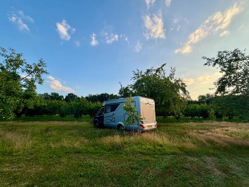 Kamperen tussen de notenbomen, Maaseik afbeelding