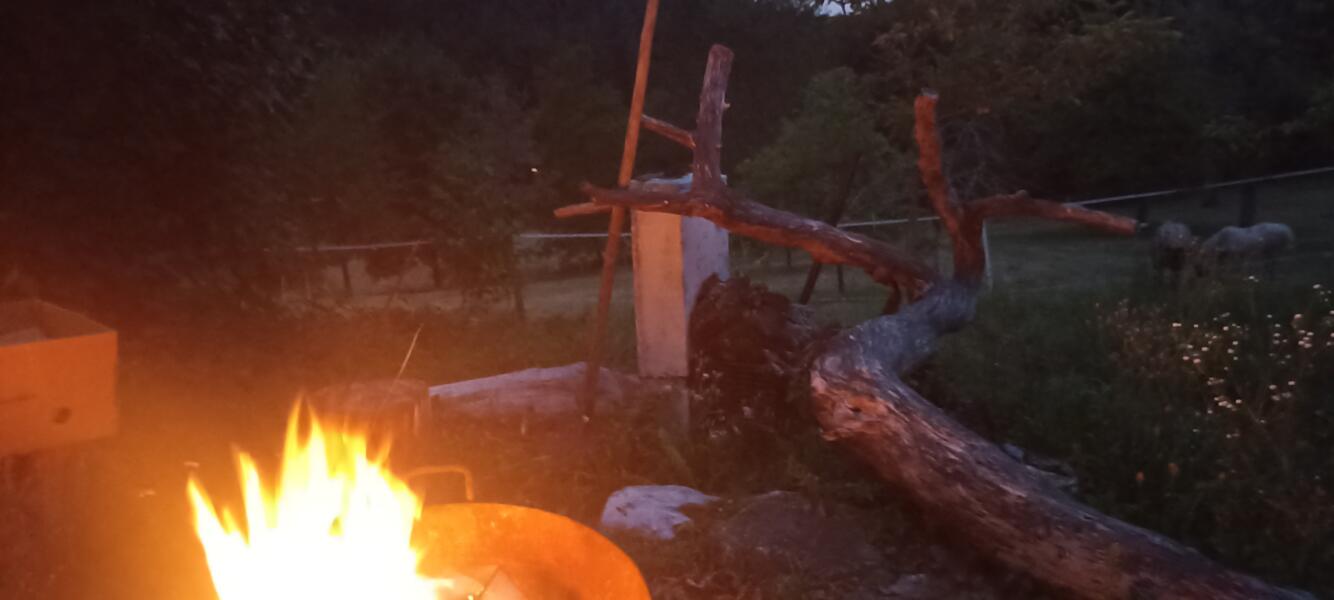 Gezinstijd op de New Light-boerderij