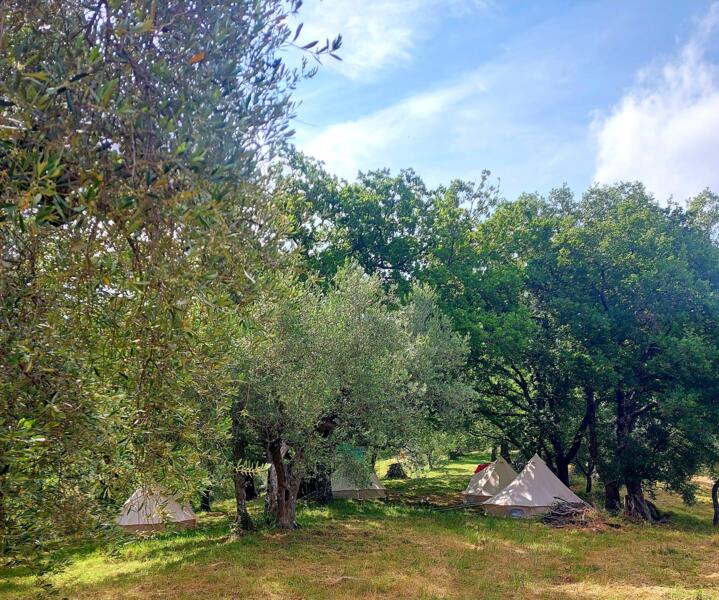 Kampeerplaats in Vetulonia, Grosseto