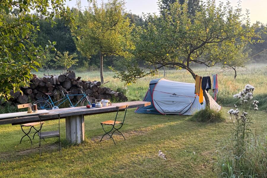 schimmel im zelt entfernen Schimmel- & Stockflecken-Reiniger main image 0