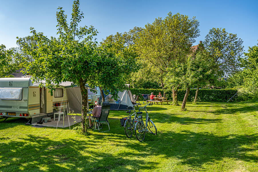 Tuinkamperen nabij de Maas afbeelding 1