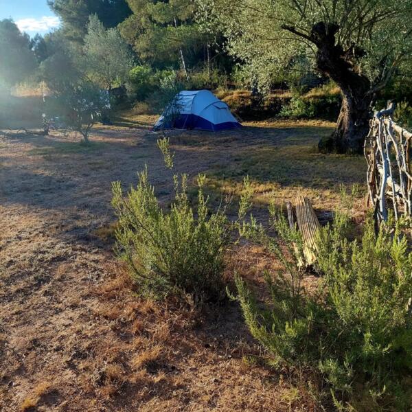 Campspace ... camping in the olive grove