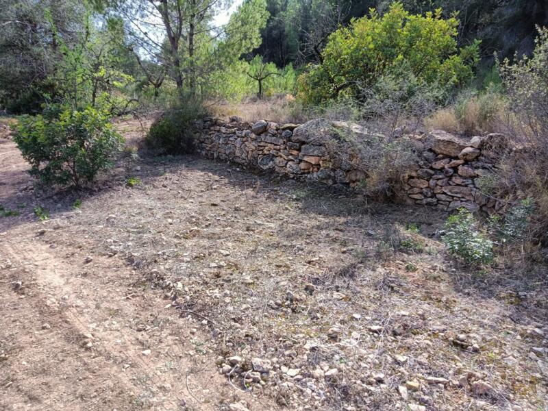 Campspace in Valencia, Valencia