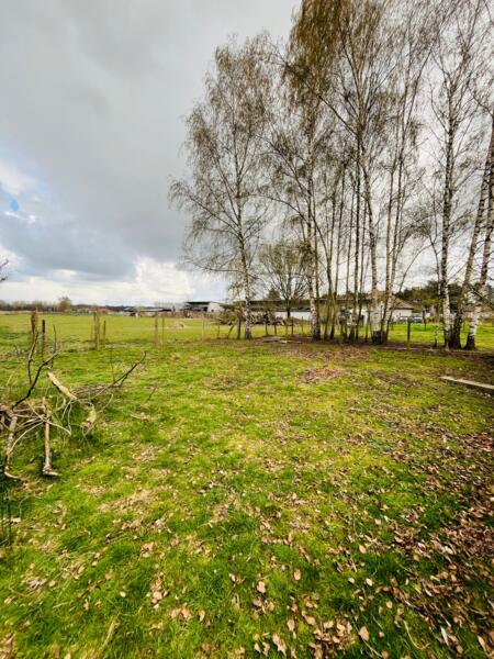 Campspace in Wachtebeke, Oost-Vlaanderen