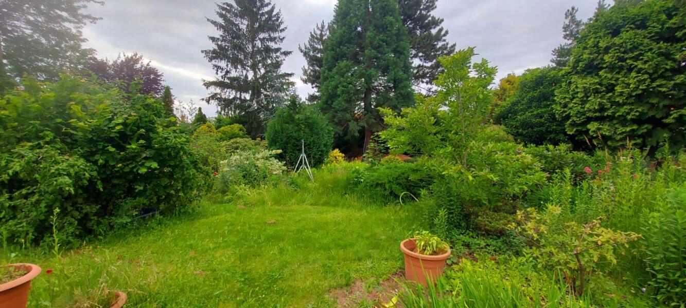 Campspace in Zeithain, Saksen afbeelding