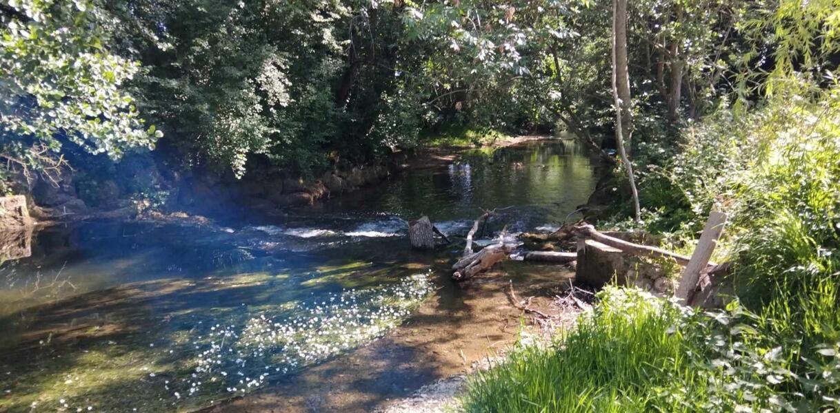De kleine boerderij in de weide, Dommartin le Saint Pere, Grand Est afbeelding