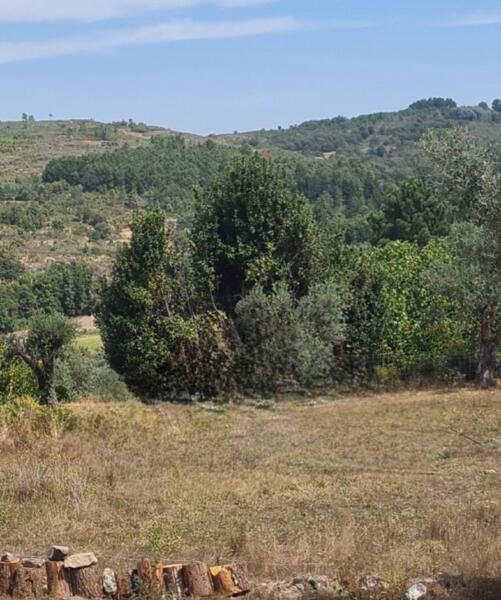 Kampeerplek in Viseu, Viseu